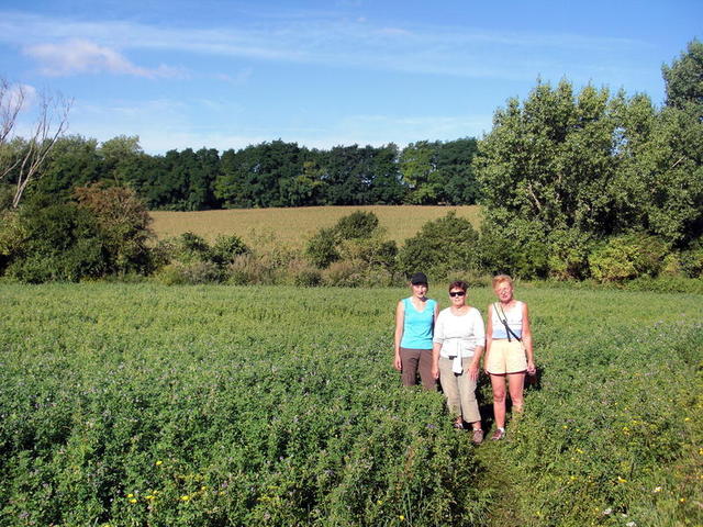 12ème Randonnée du Bois Saint-Pierre à Auchel : 8 septembre 2013