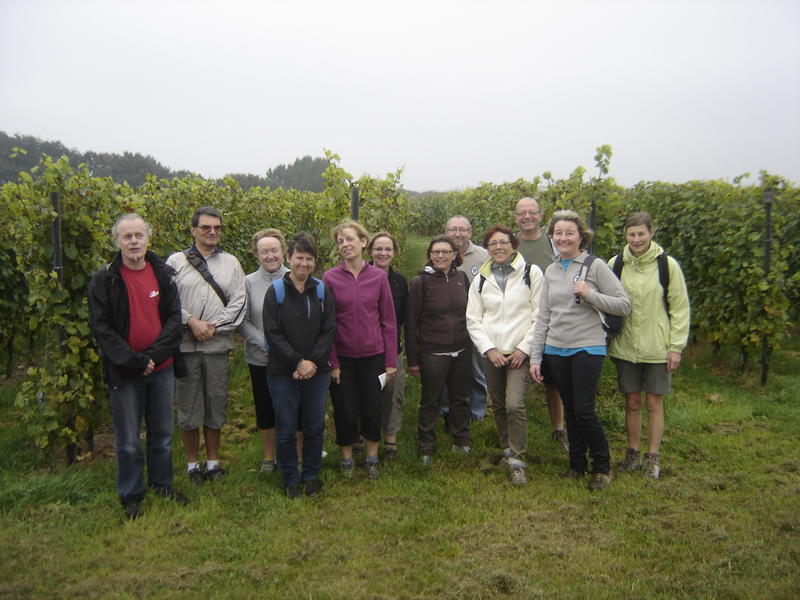 Dans le vignoble du Mont Noir : 14 septembre 2014
