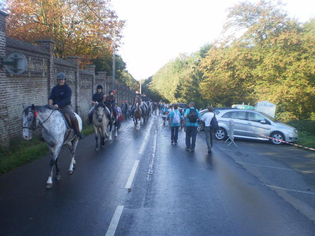 Randonnée de la Saint-Hubert à Godewaersvelde : 19 octobre 2014