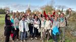 Marche des baudets à Estaires : 2 novembre 2014