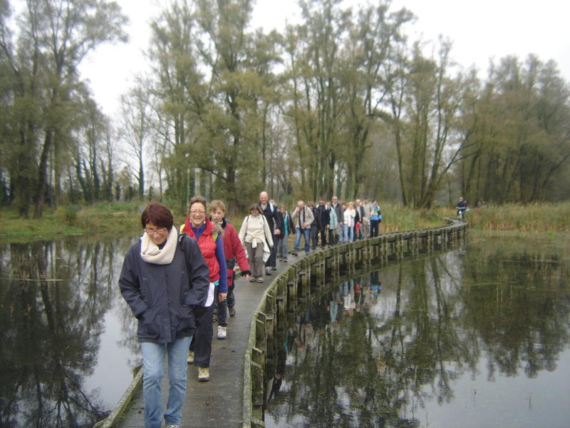 Wavrin : 16 novembre 2014
