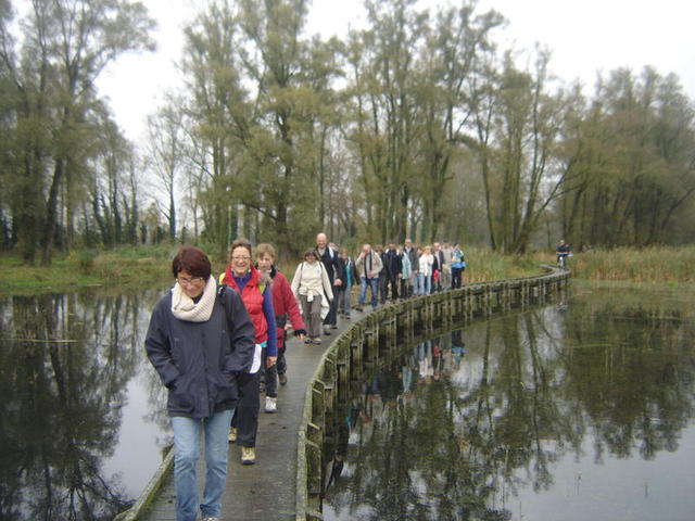 Wavrin : 16 novembre 2014