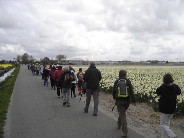 Randonnée aux Pays-Bas : 19 avril 2015