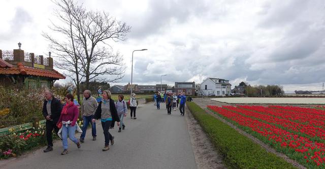 Randonnée aux Pays-Bas : 19 avril 2015