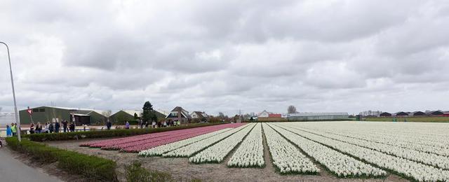 Randonnée aux Pays-Bas : 19 avril 2015