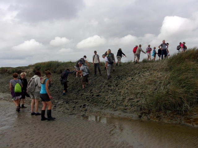 Baie de Somme