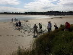 Baie de Somme