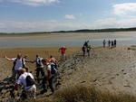 Baie de Somme