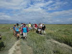 Baie de Somme