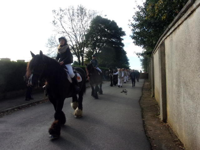 Randonnée de la Saint-Hubert à Godewaersvelde : 16 octobre 2016