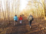 Rando de la Saint-Valentin à Beuvry : 11 février 2018