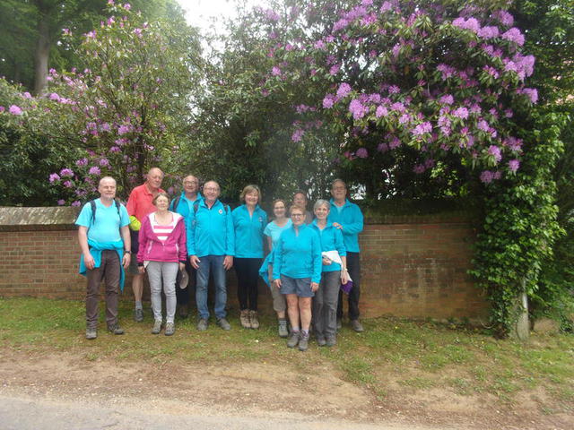 Rando des Monts de Flandre à Boeschèpe : 20 mai 2018