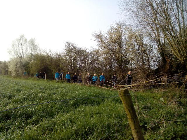 Randonnée à Neuve-Eglise : 31 mars 2019