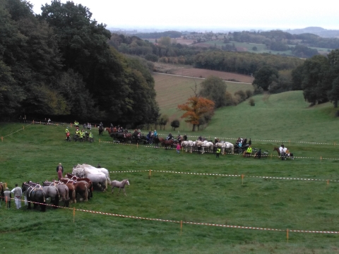 Randonnée de la Saint-Hubert au Mont des Cats : 20 octobre 2019