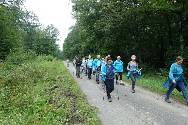 Autour de l'étang de Virelles