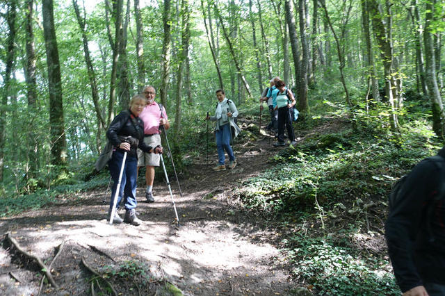 Autour de l'étang de Virelles