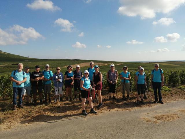 Pause dans les vignes