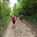 Falaises de Cuis : 27 août 2022