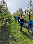 Les foulées de la Lawe à Locon : 30 avril 2023 