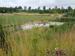 Ile De Balokken : 1er juillet 2023