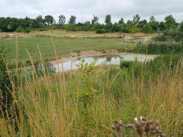 Ile De Balokken : 1er juillet 2023