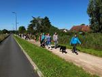 Randonnée avec le club canin de Sailly : 23 juin 2024