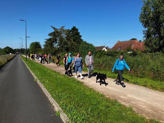 Randonnée avec le club canin de Sailly : 23 juin 2024