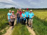 Randonnée à Gouy-Servins : 29 juin 2024