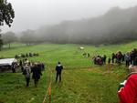 Randonnée de la Saint-Hubert : 20 octobre 2024