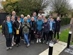 Marche du Bas Pays à Lestrem : 17 novembre 2024
