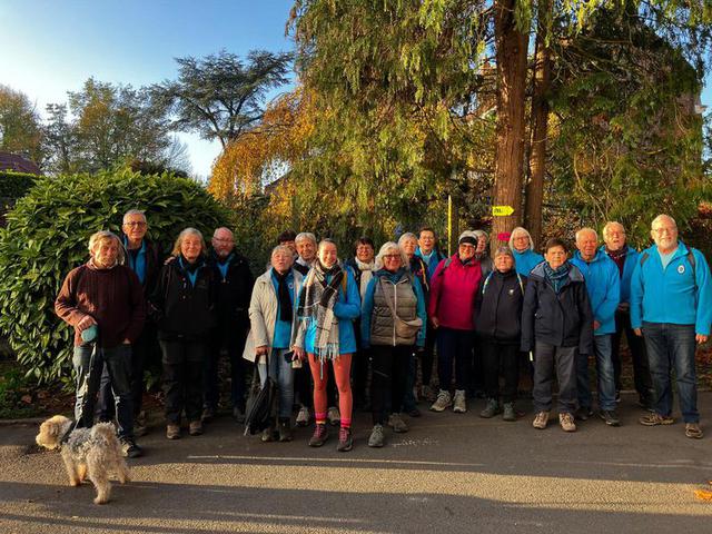 L'automnale à Steenwerck : 9 novembre 2025